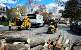 Best Emergency Tree Removal  in Valley Green, PA